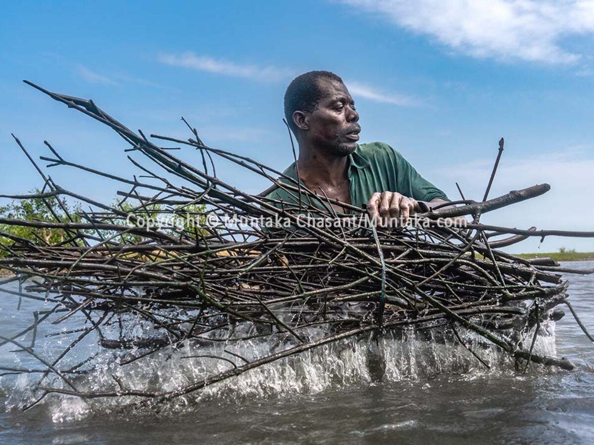 River Fishing Trap